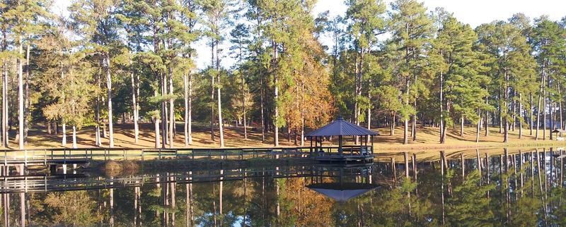 Seasonal Changes And Their Impact On Lake Ecology