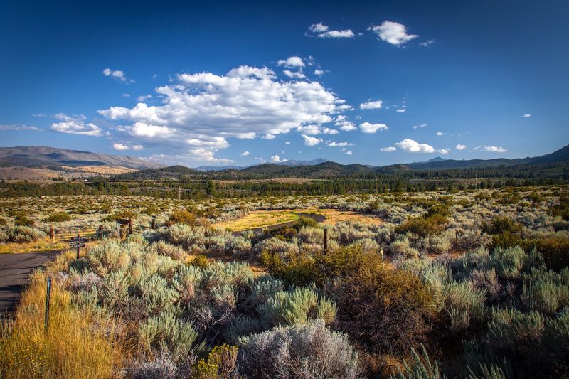 Humboldt-Toiyabe National Forest
