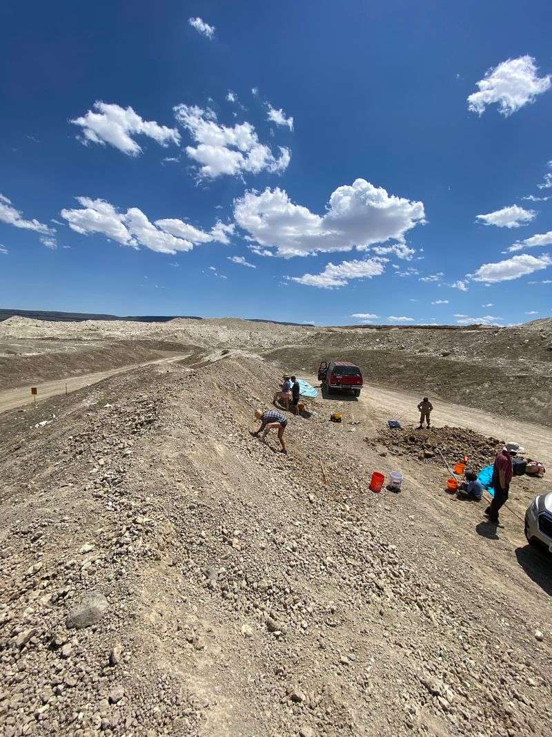 Packing The Right Gear And Vehicle