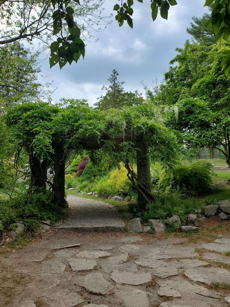 Borderland State Park, North Easton
