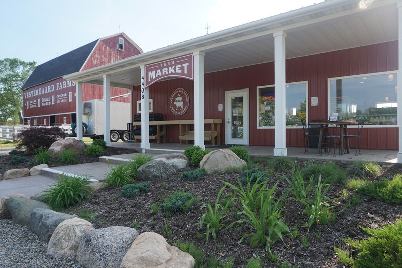 Vestergaard Farms