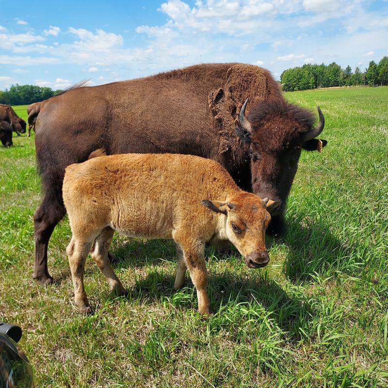 What Makes This Ranch Experience Truly One Of A Kind