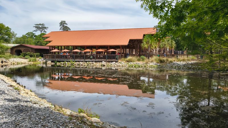 Safari Grill And Ladha's Cantina Deliver