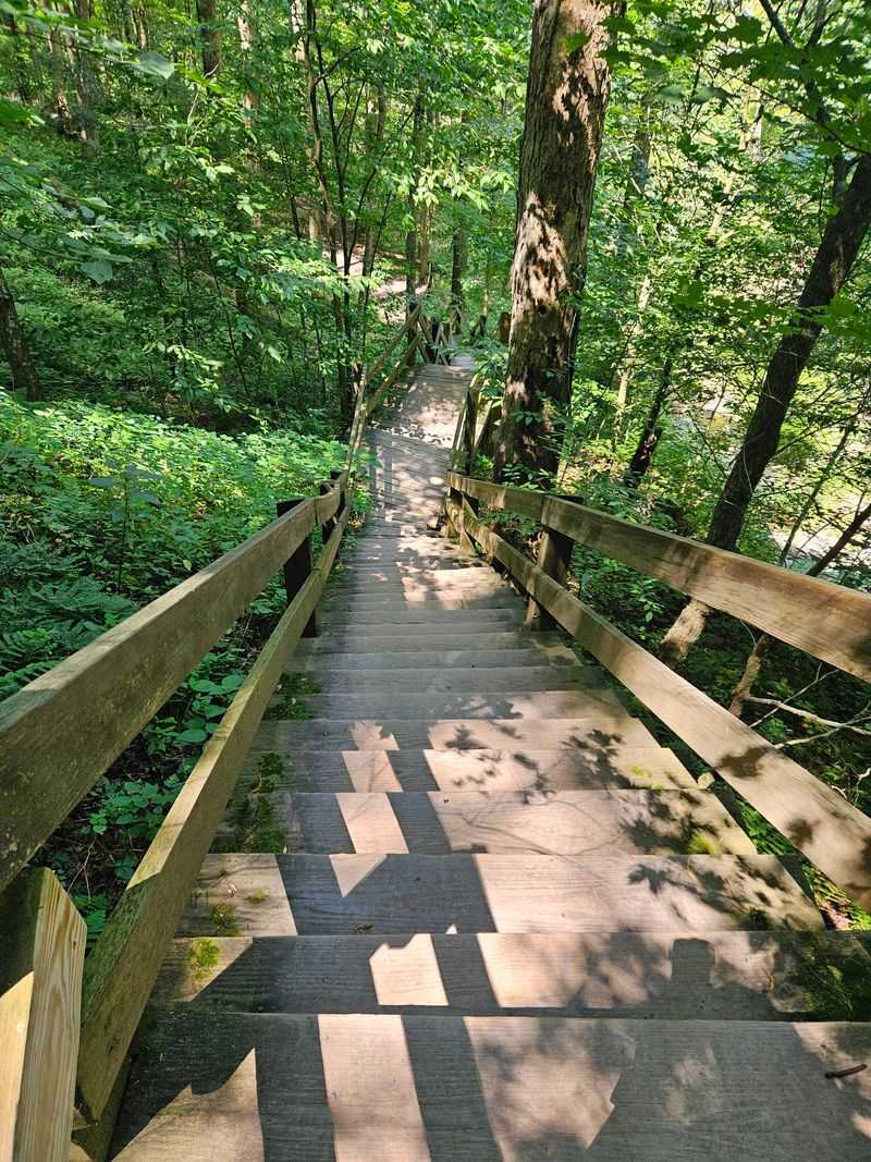 Down The Turkey Path Into The Canyon