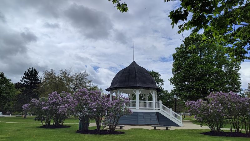 Why They Call It The Lilac City
