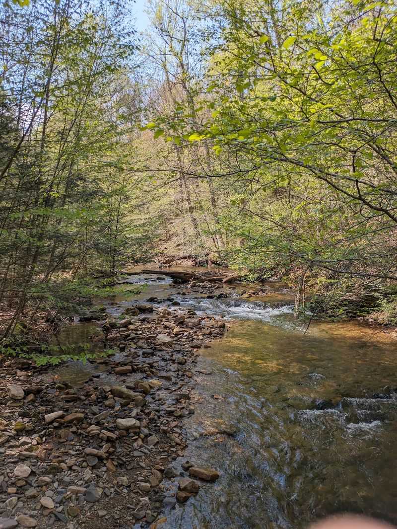 Frank E Masland Natural Area