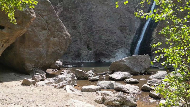 Family And Pet-Friendly Adventure