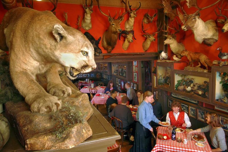 Dining Ambience Reflecting Ranch Lifestyle
