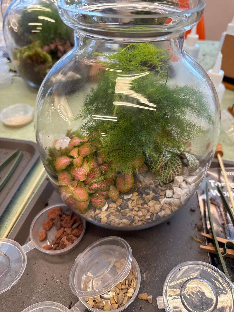 Terrart NYC Terrarium Workshop - Brooklyn, NY