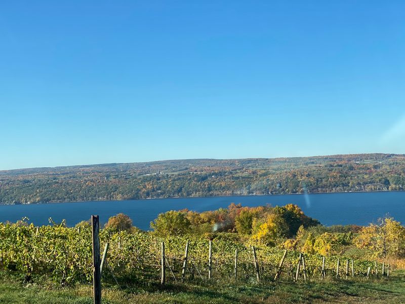 NY-414, Seneca Lake Scenic Byway