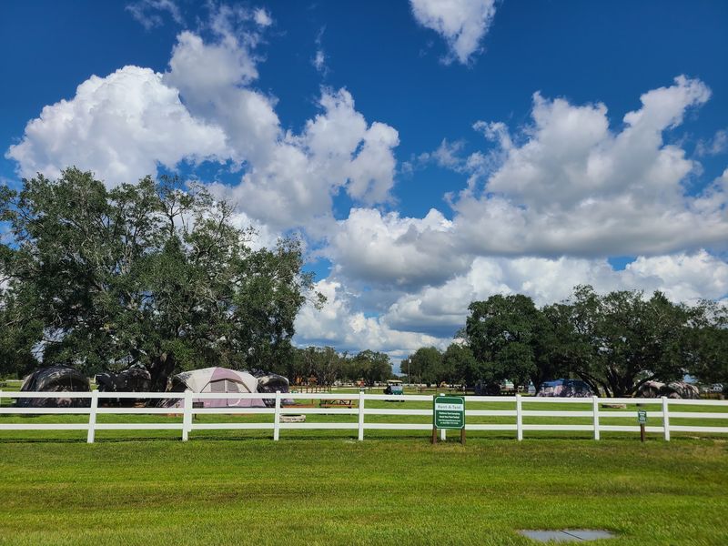 Food Options And Picnic Spots Nearby
