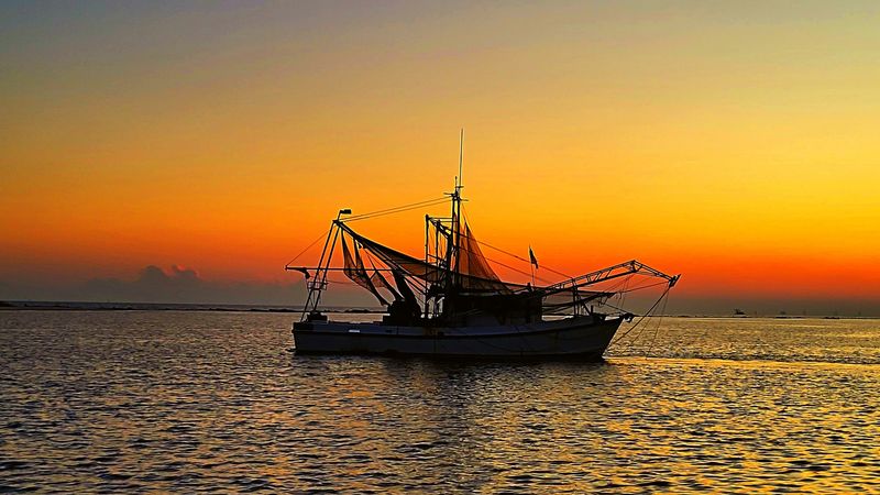 Environmental Impact Of Shrimp Fishing
