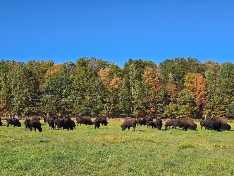Plan Your Visit And Make The Most Of Your Time At The Ranch