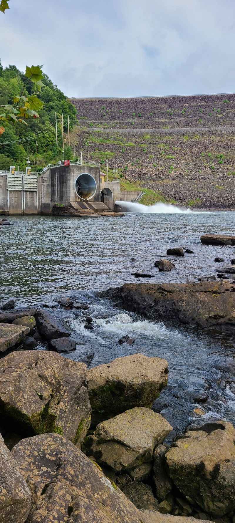 Snake Habitat Preferences Near Water Bodies