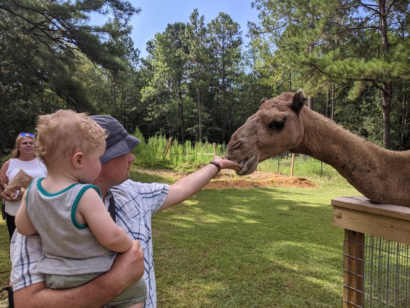 Guided Tours And Hands On Activities For All Ages