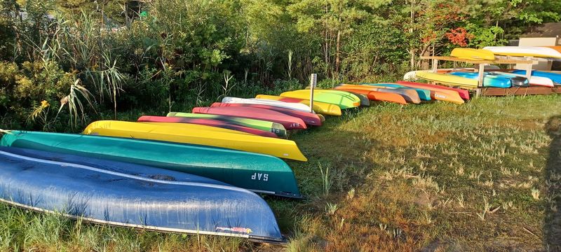 Paddle, Cast, Repeat On The Water