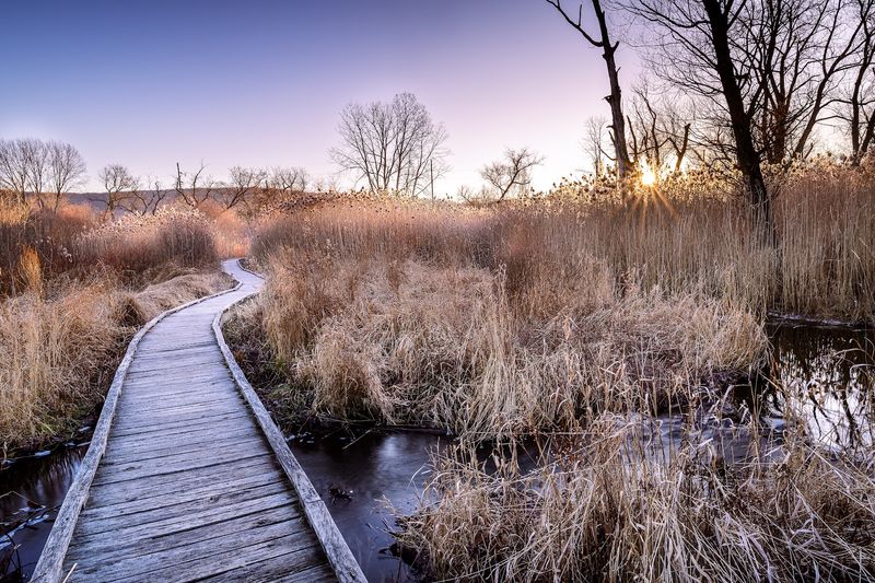 Great Swamp Appalachian Trail Boardwalk - Pawling