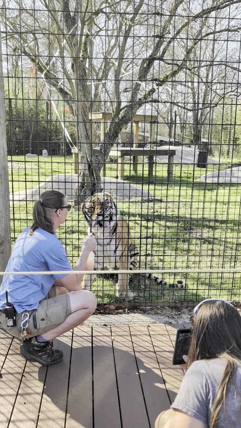 Volunteer Opportunities With Animal Teams