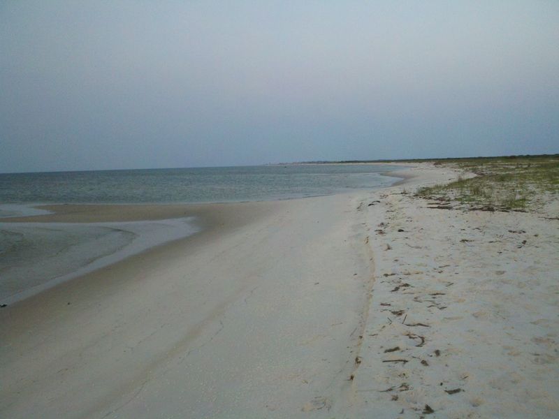 Conservation Efforts Protecting Coastal Artifacts