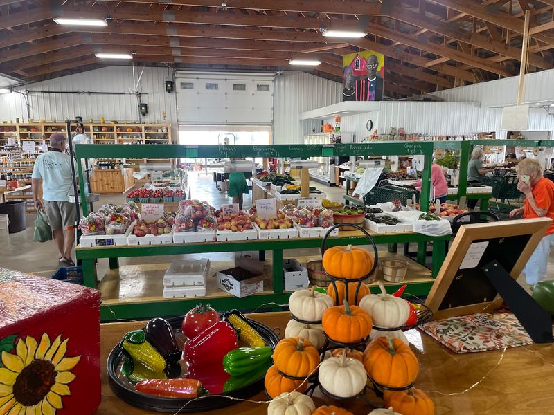 Planning Your Visit For The Best Farm Day