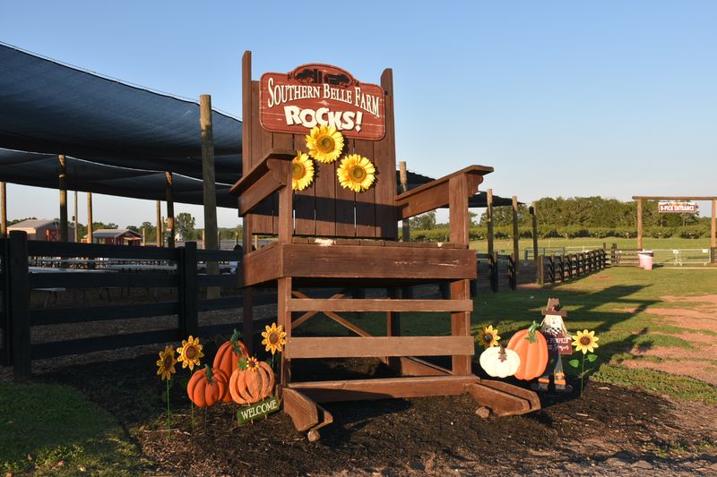 Kid Friendly Activities To Enjoy During Visits