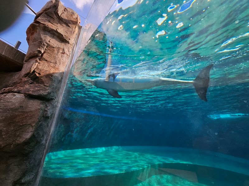 Mississippi Aquarium - Gulfport