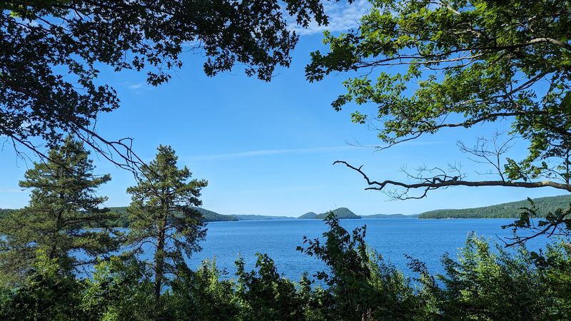 Bald Eagles, Loons, And A Birder's Paradise