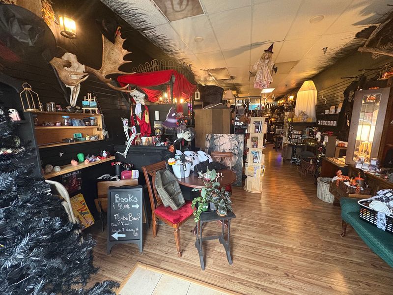 Ethically Sourced Taxidermy And Natural Bone Displays