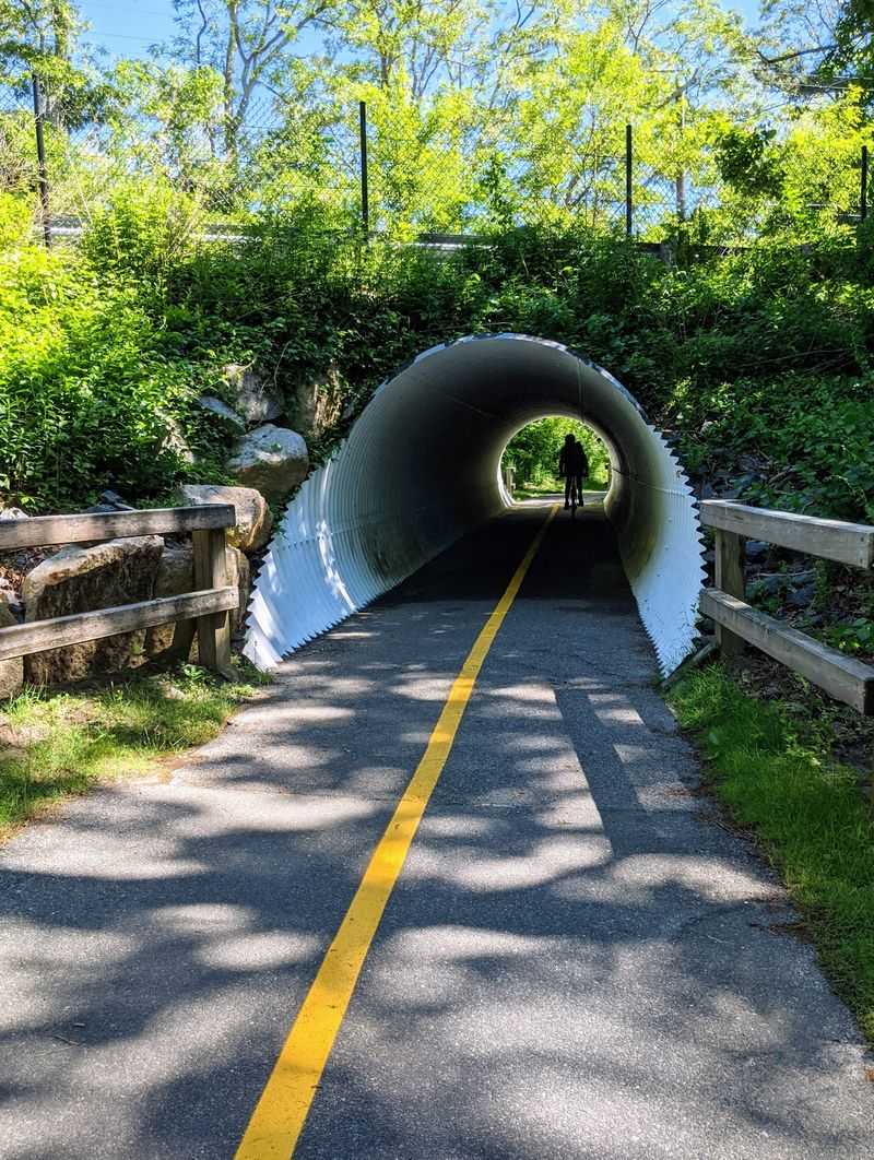 Cape Cod Rail Trail