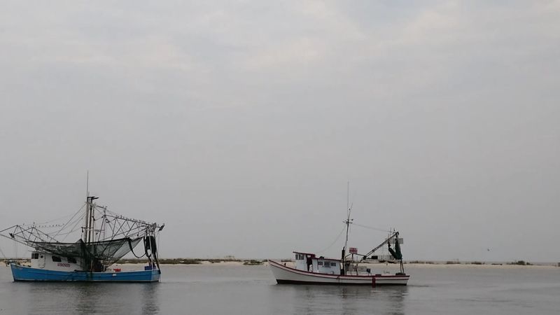 Daily Routine On A Shrimp Boat