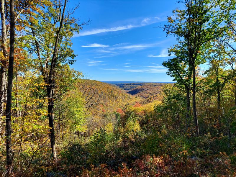 Quehanna Wild Area