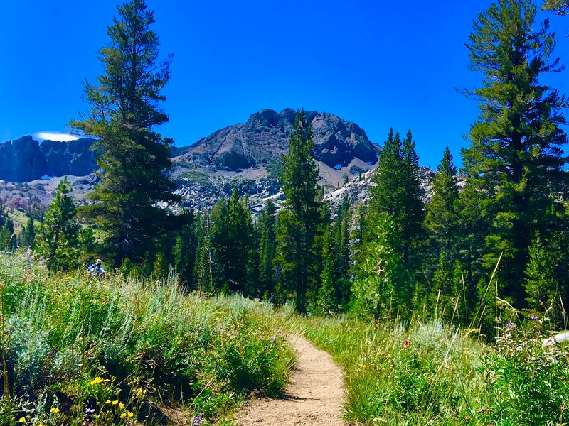 Peaks, Meadows And Air That Feels Thinner