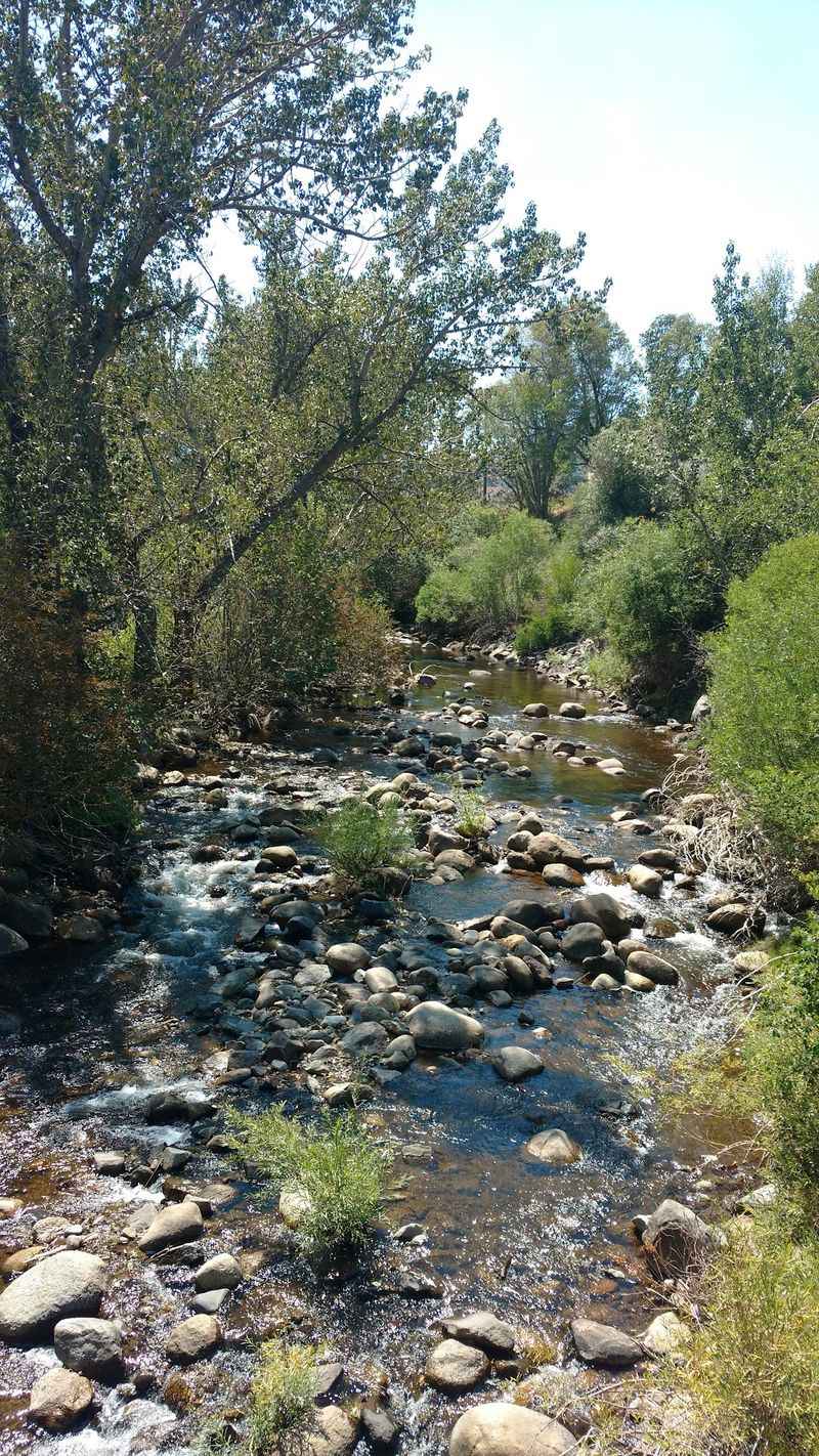 Casting A Line In Cold Mountain Water