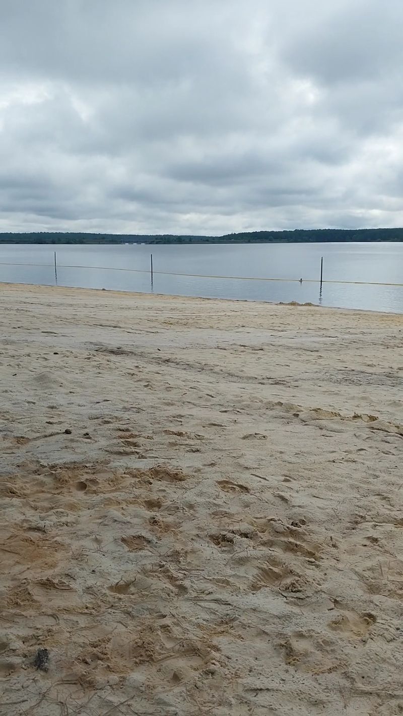 Beach Days And The Fine Print