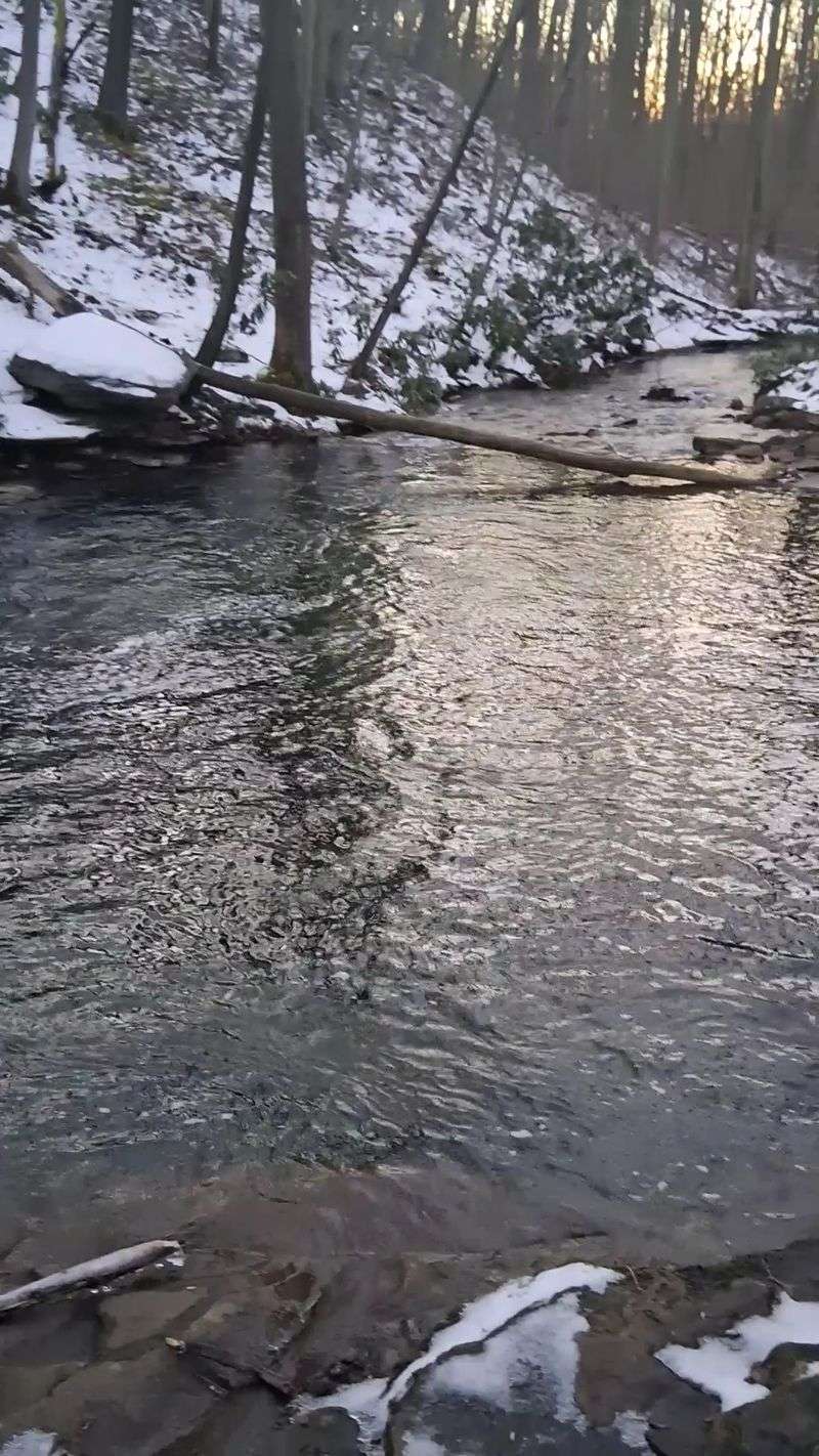 Two Creeks And A Fishing Line