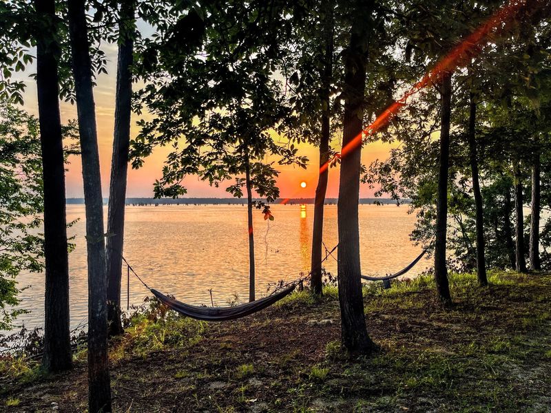 Why Cabin Calendars Fill Up Fast
