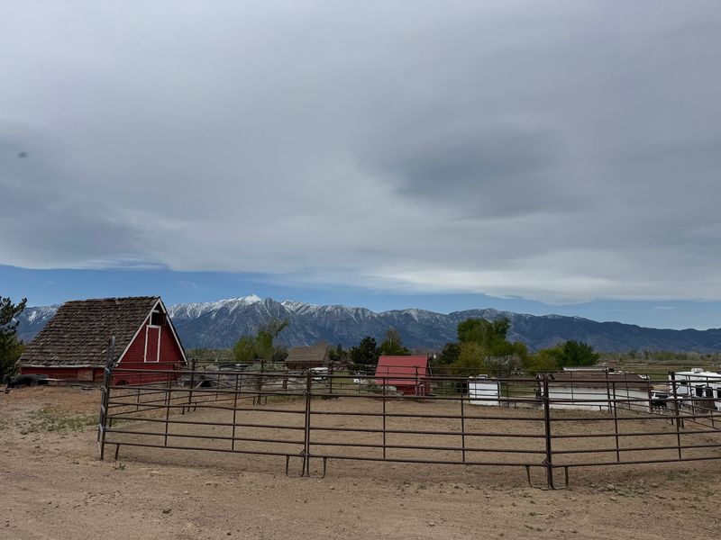 Barn Gatherings And Year-Round Life