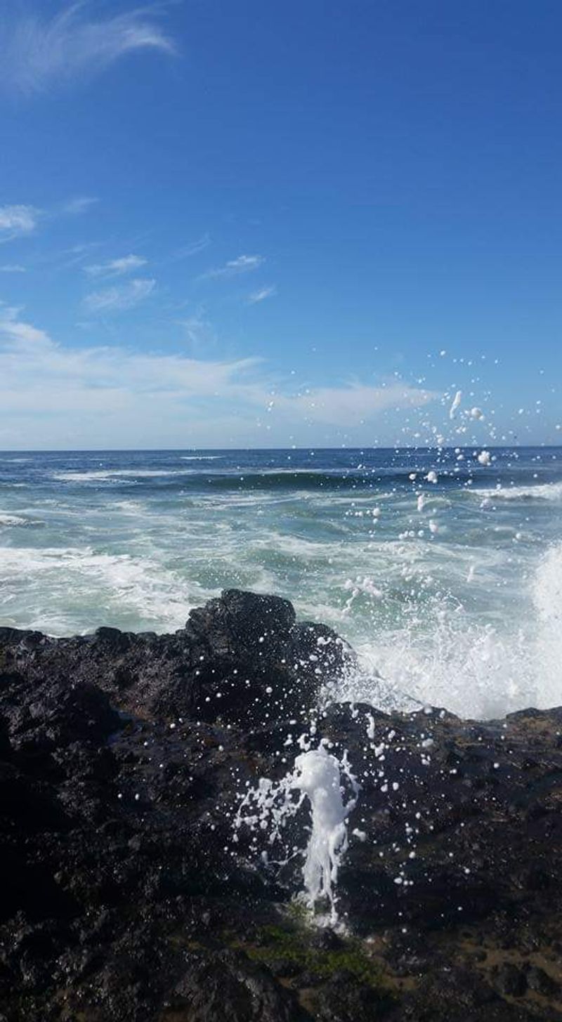 Tide Pools Pull You Into A Miniature World