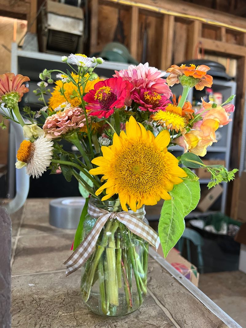 Haber's Farm Stand, Easthampton