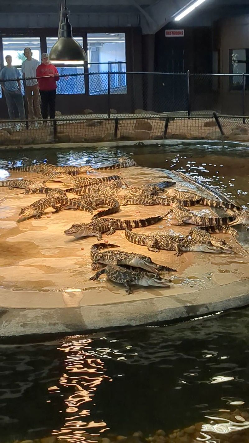Biggest Indoor Reptile Exhibit