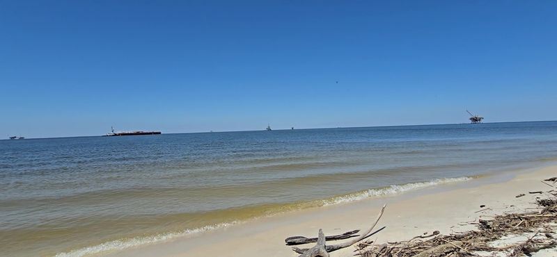 Where To Find It Along Fort Morgan Road