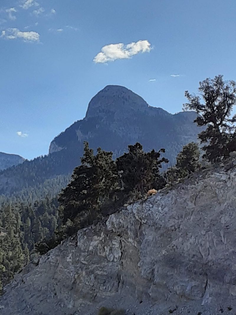 How The Mountains Got Their Shape