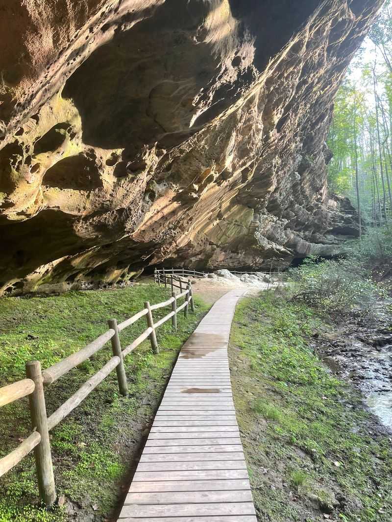 Hazard Cave And Its Glowing Residents