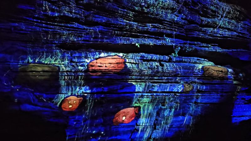 Interactive Moments That Bring The Story To Life