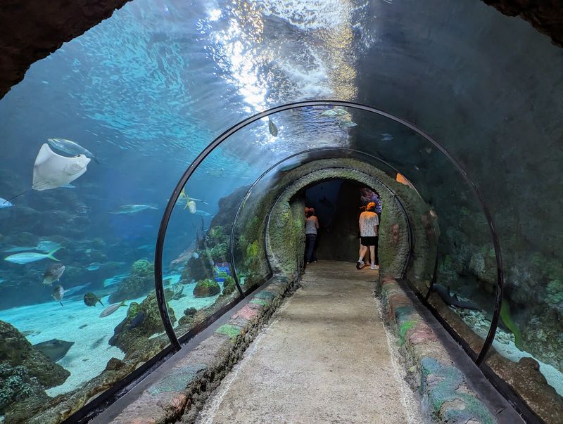 Interactive Displays Designed For Adult Visitors