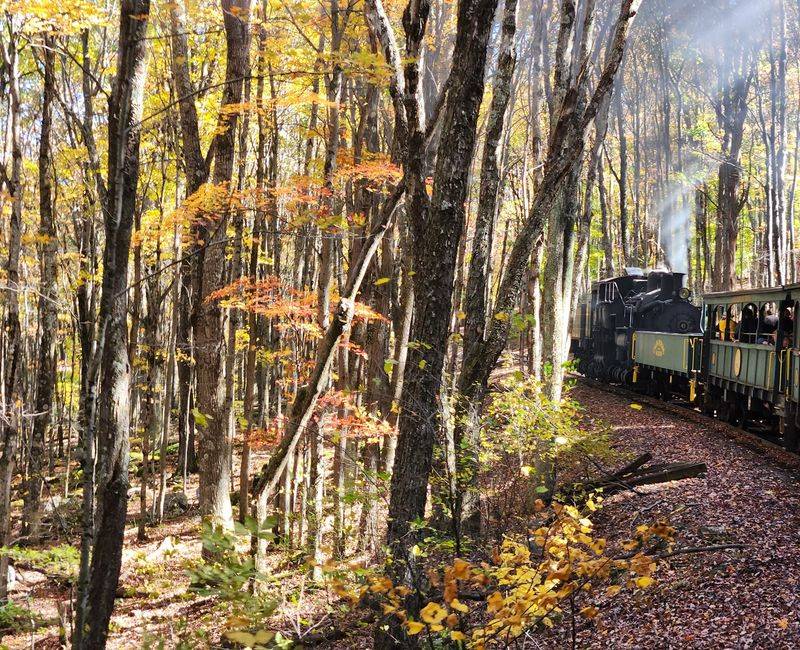 Seasonal Rides That Change The Whole Experience