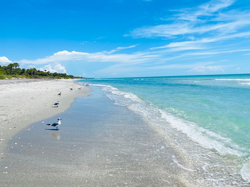 Caspersen Beach, Venice