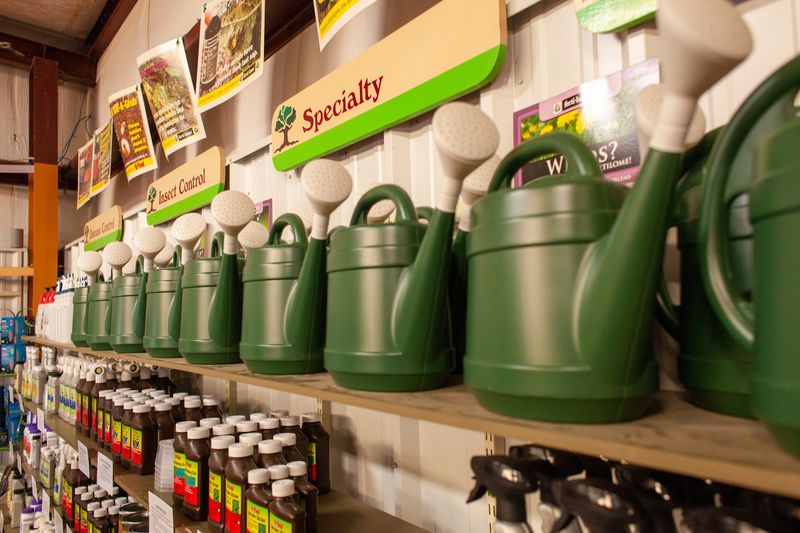 Beyond Plants: Gifts, Seed, And Disc Golf