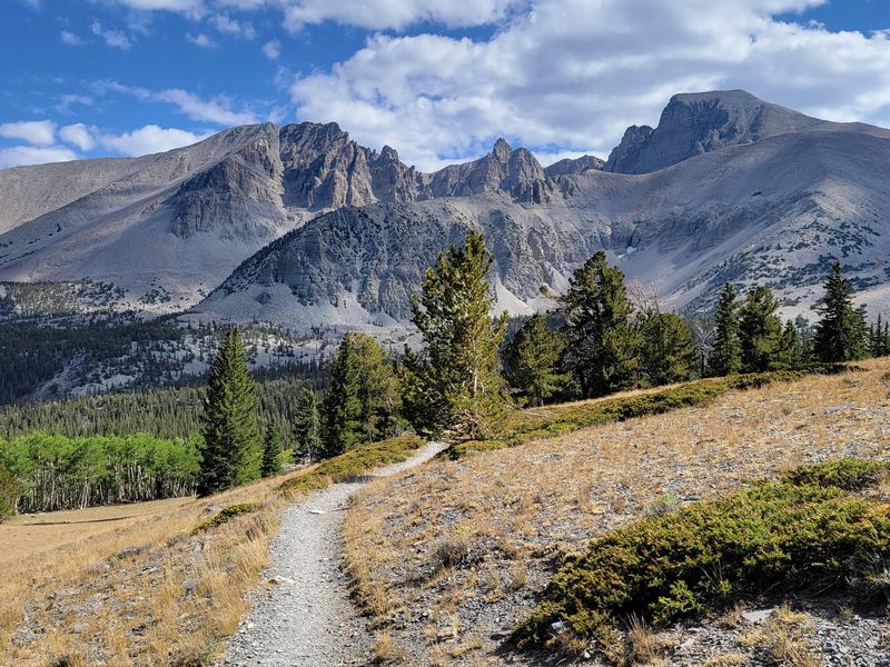 Camping Options That Range From Cozy To High And Wild