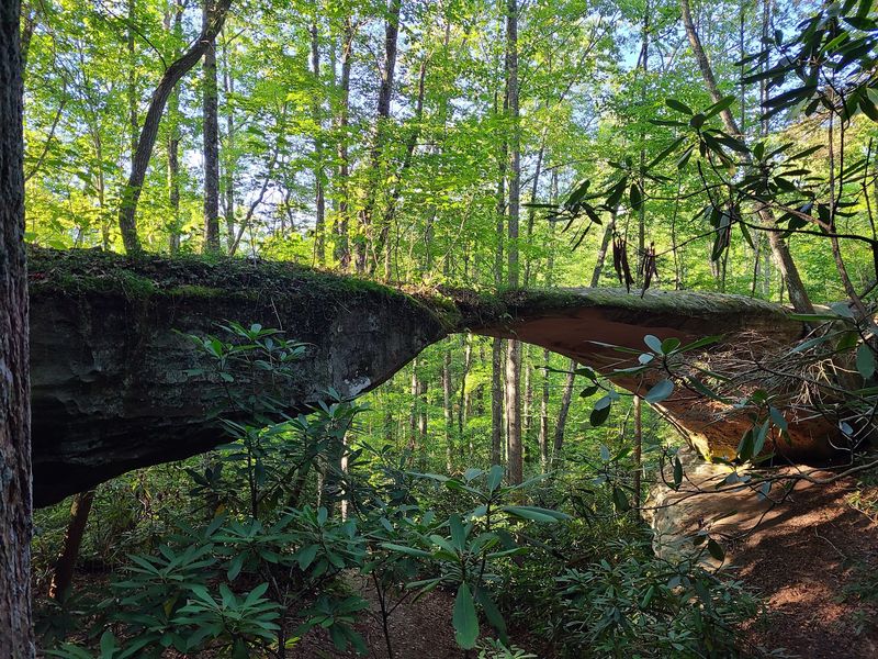 Arches, Bridges, And Sandstone Oddities